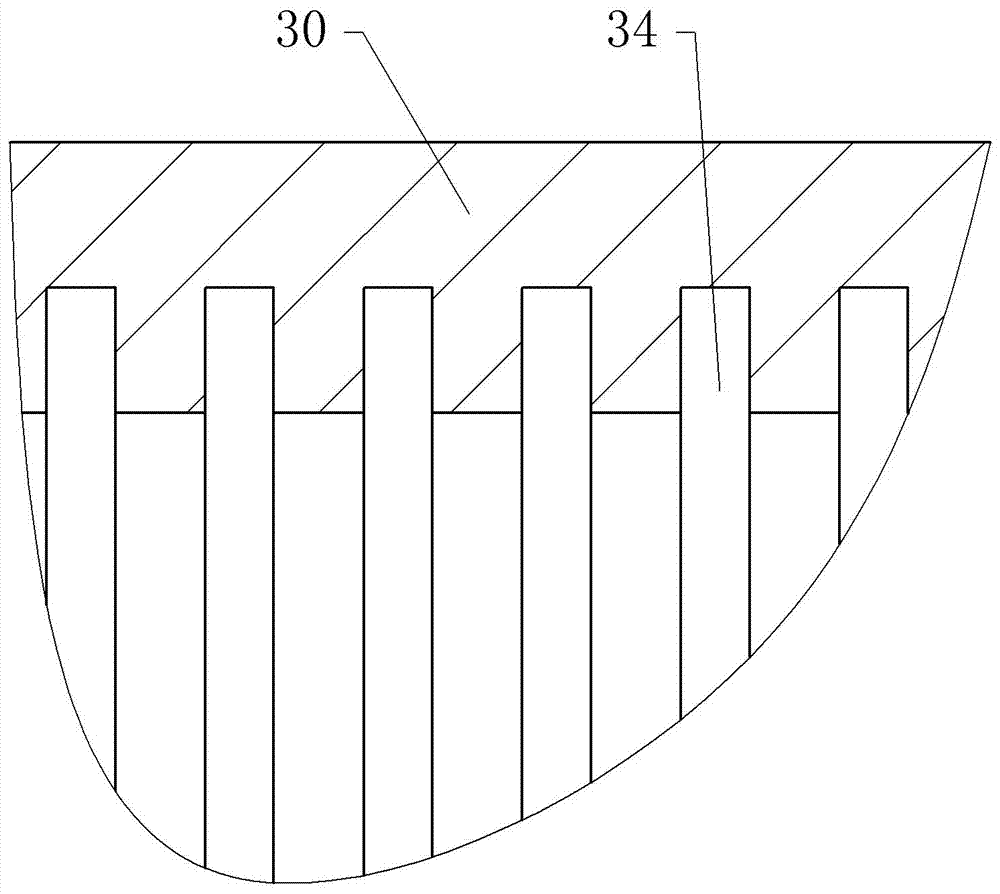 Radix scrophulariae drying device