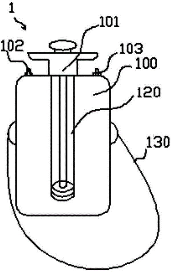 Handheld diesel oil flame device for pest killing and weeding