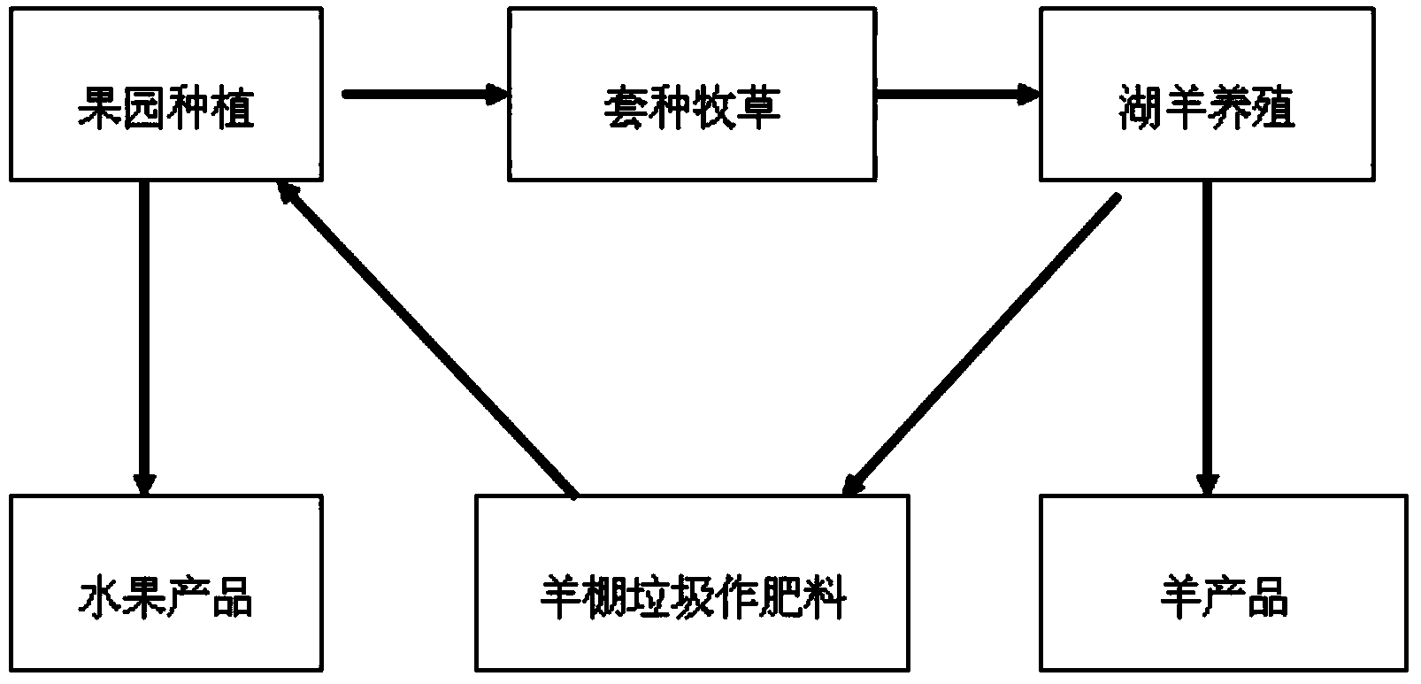 Planting method for growing grass and breeding sheep cyclically in hillside orchard