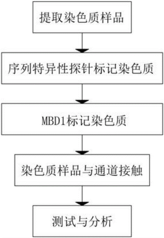 Device and method for epigenetic analysis