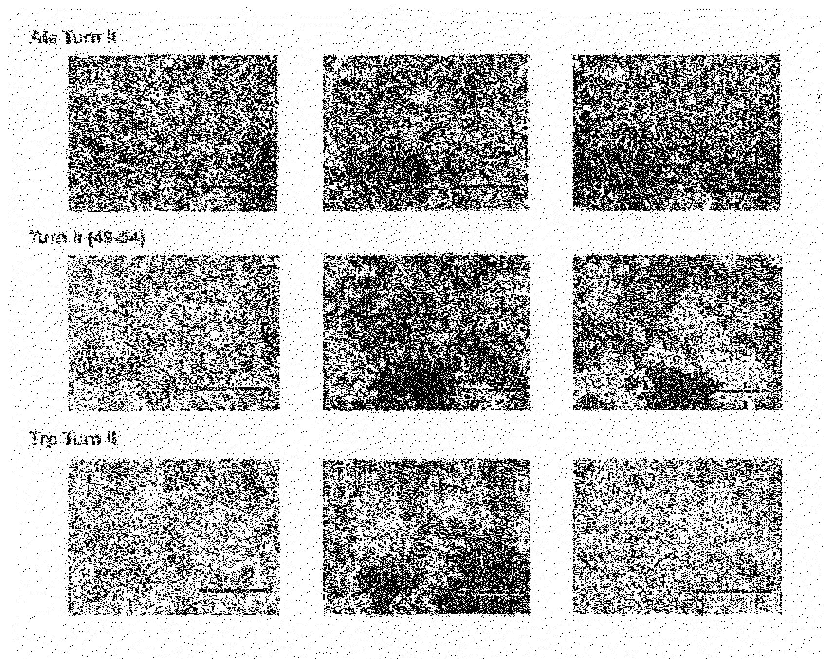 Peptides for Inhibiting MDM2 Function