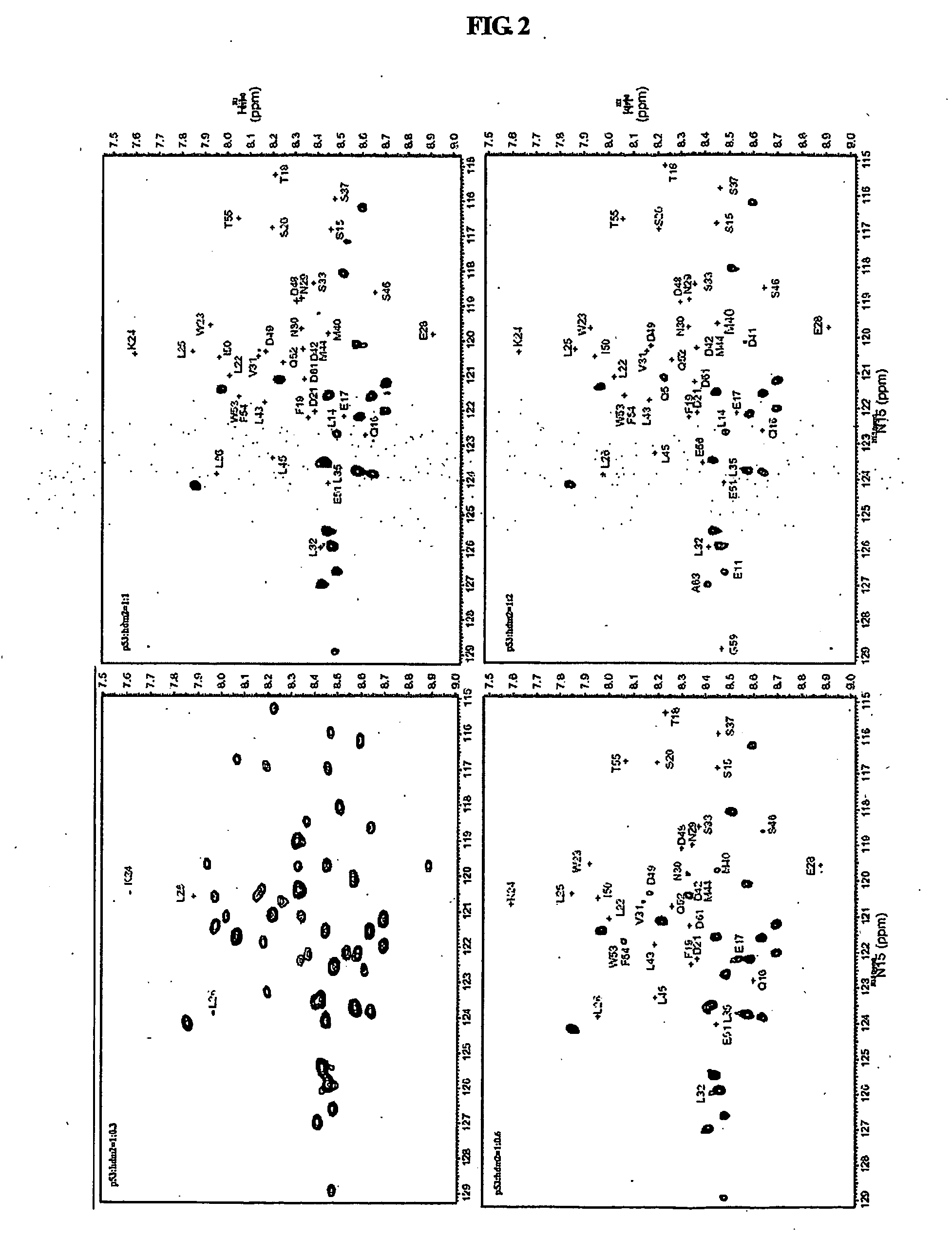 Peptides for Inhibiting MDM2 Function