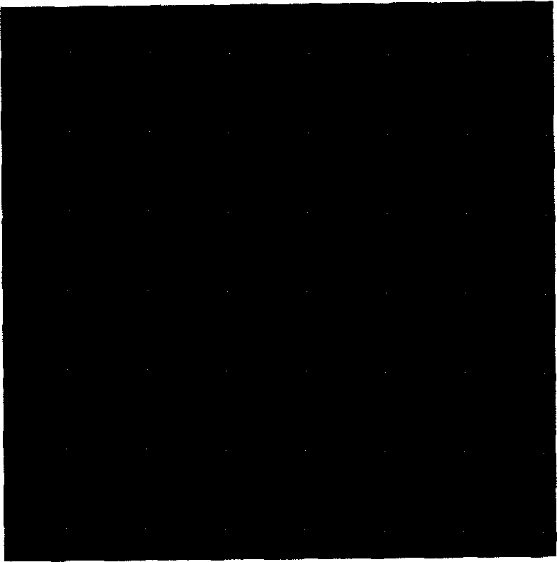 Staphylococcus xylosus I2 strain, composite ferment produced thereby and the use of ferment in meat ware