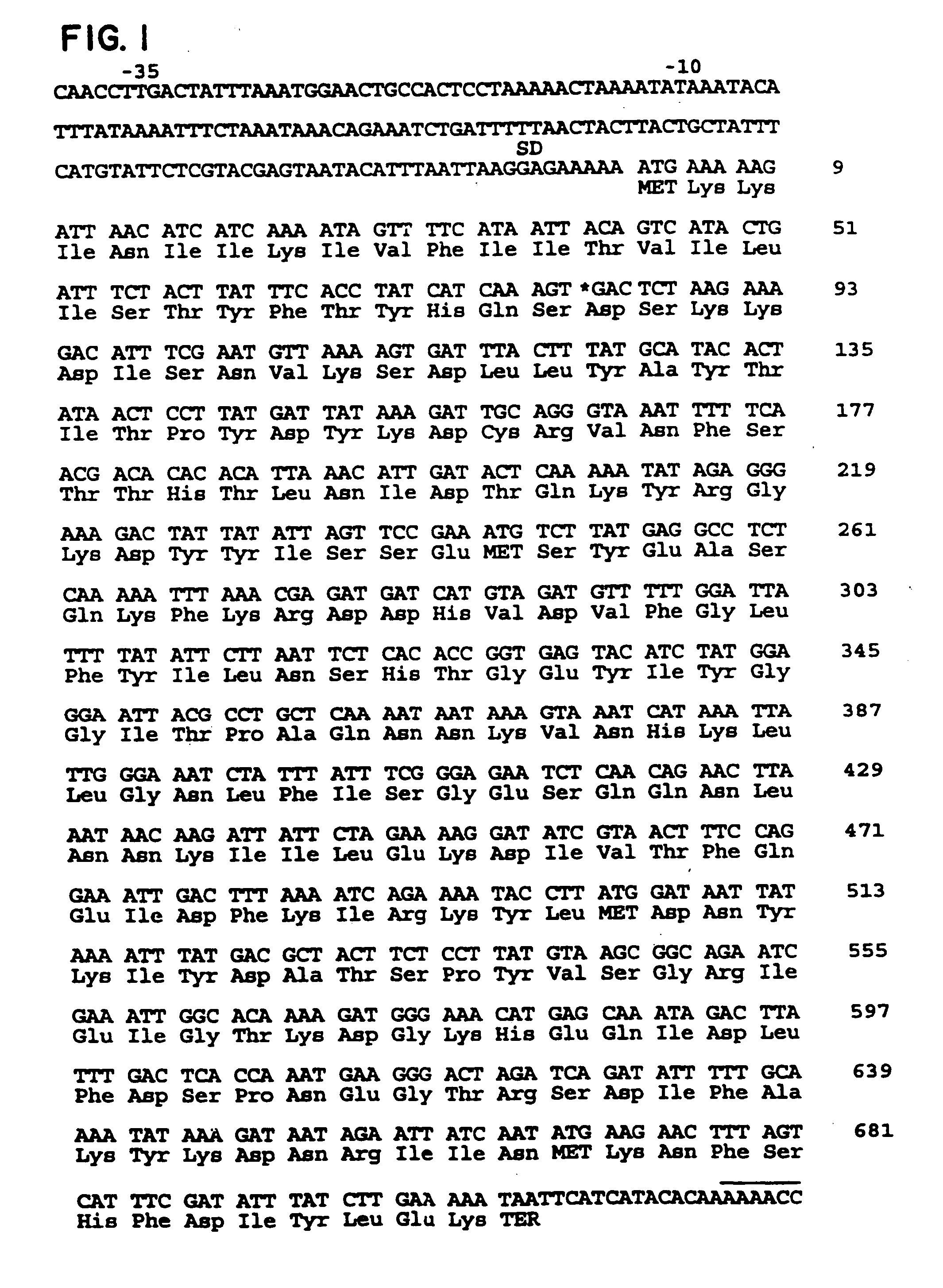 Mutants of streptococcal toxin C and methods of use