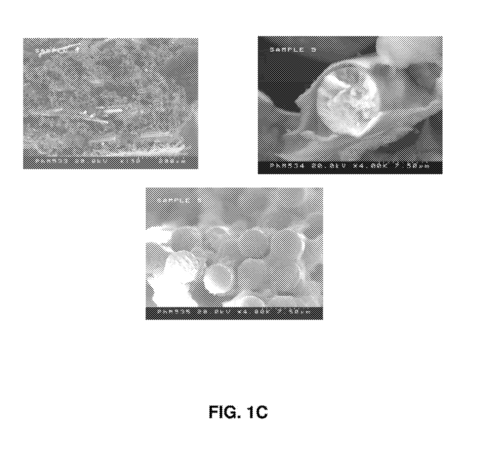 Methods of imparting conductivity to materials used in composite article fabrication & materials thereof