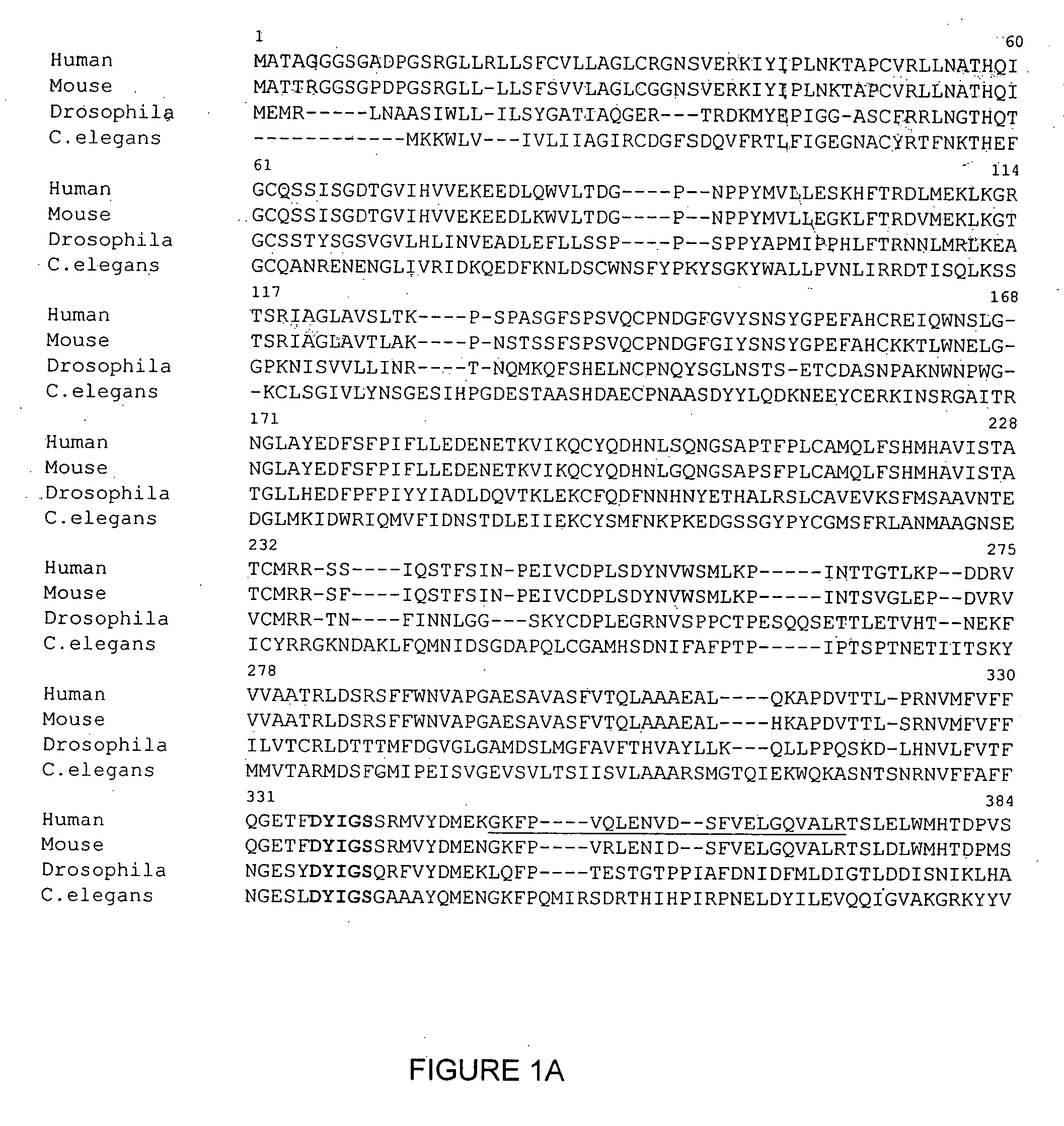 Proteins related to schizophrenia and uses thereof