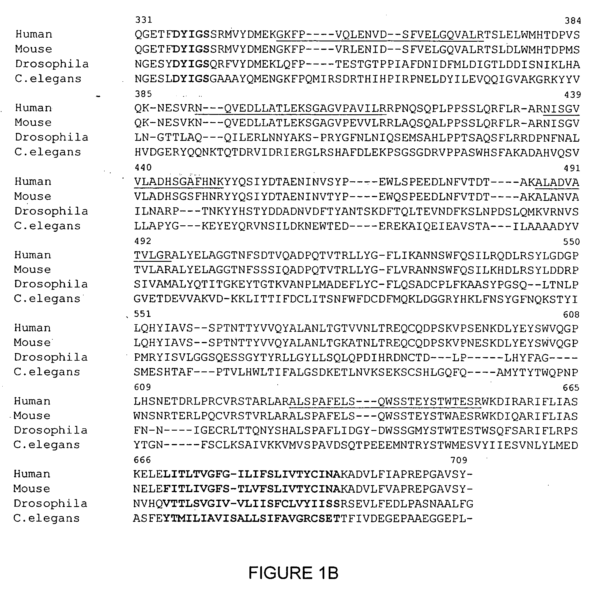 Proteins related to schizophrenia and uses thereof