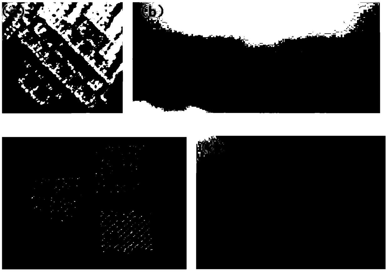 Preparation method and application of porous bioactive ceramic film on pure titanium or titanium alloy surface with lattice structure porosity