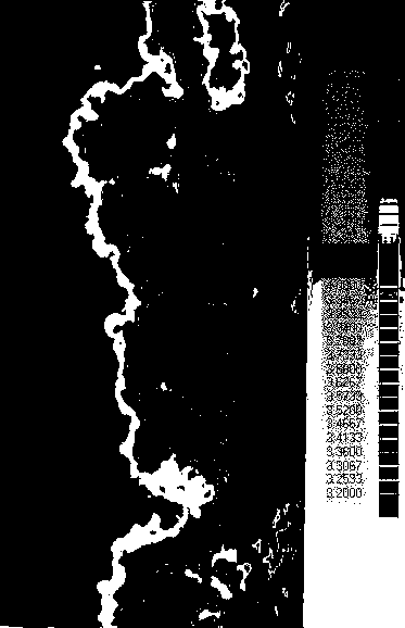 A Quantitative Detection Method for Pipeline Outer Wall Corrosion Morphology