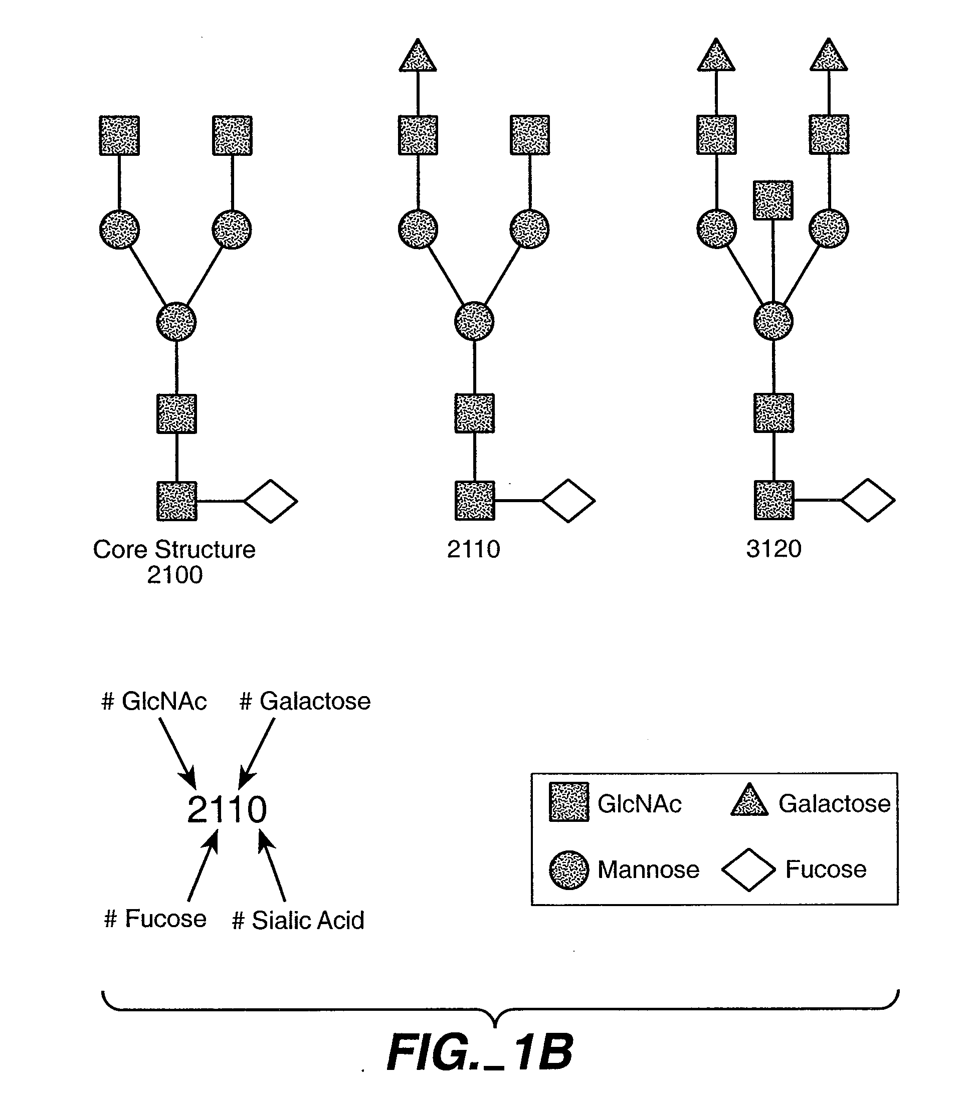 Glycoprotein compositions