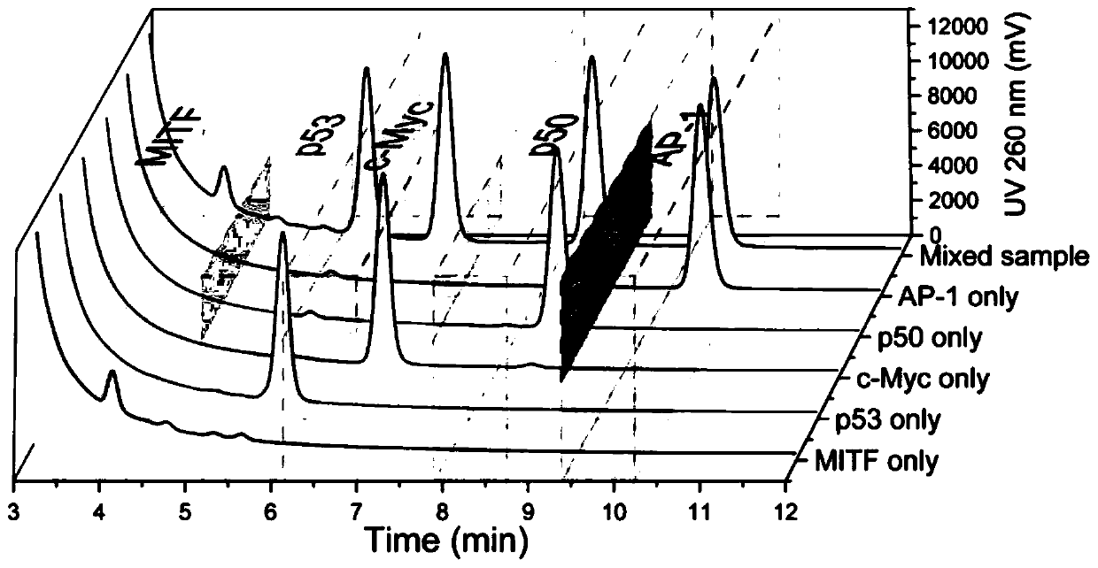 Transcription factor multi-channel detection method combining DNA nanotechnology and liquid chromatography technology