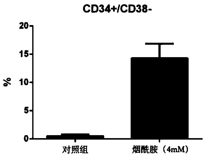 Stem cell in-vitro multiplication culture system and method