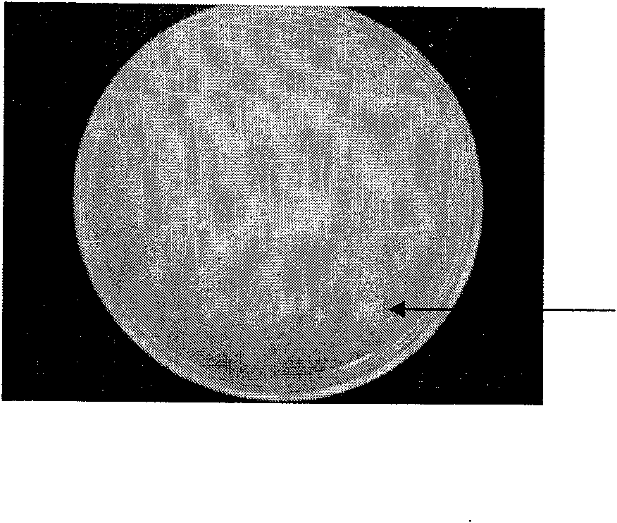 Cellodextrin enzyme, encoding gene and application thereof