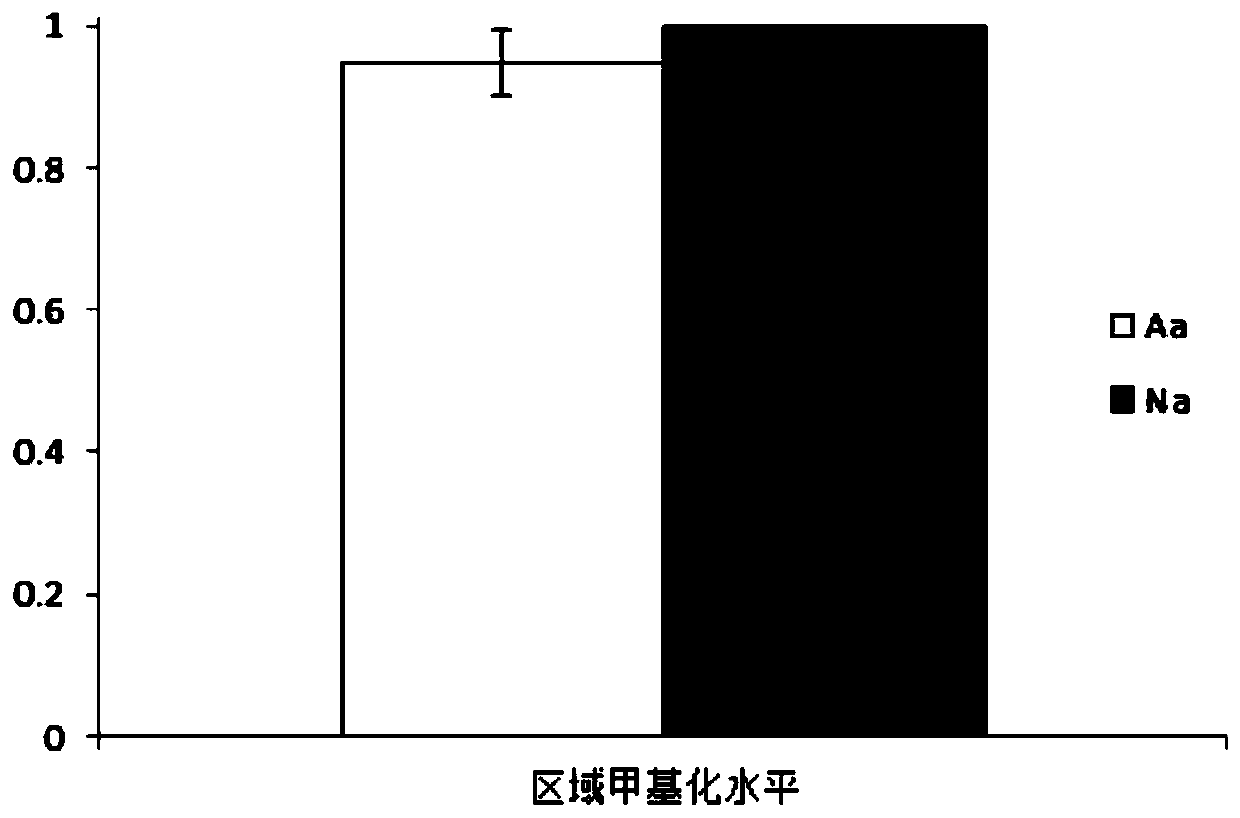 Application of SYNPO gene methylation to diagnostic agent of asthenozoospermia and kit