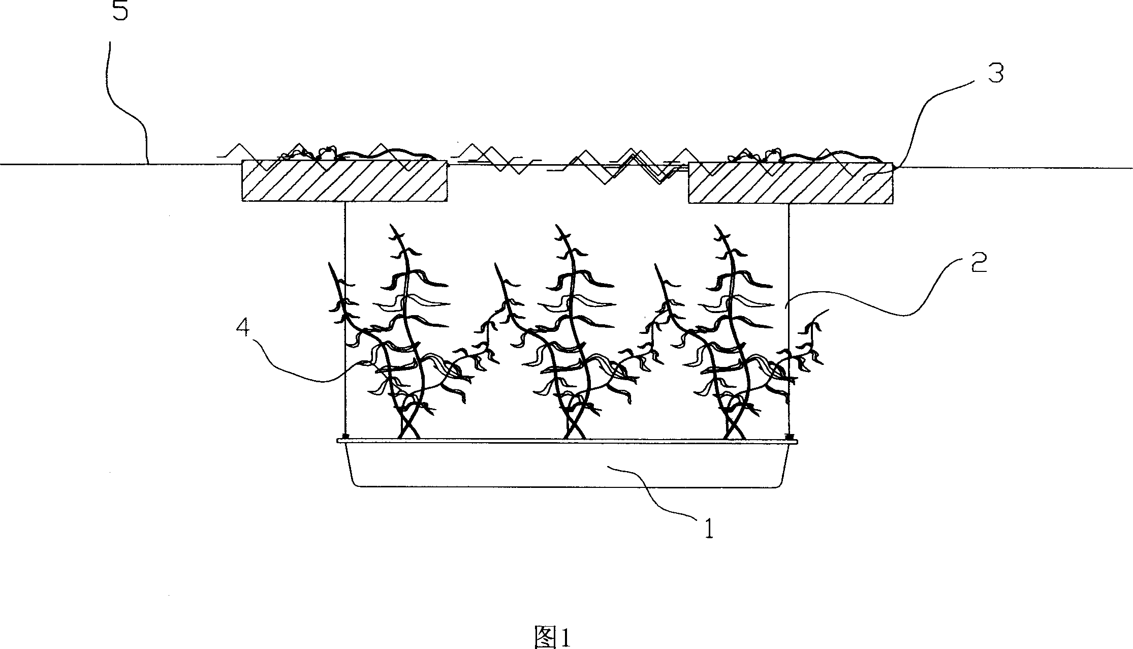 Method and device for treating water by semi-floating type carrier-planting submergent plant