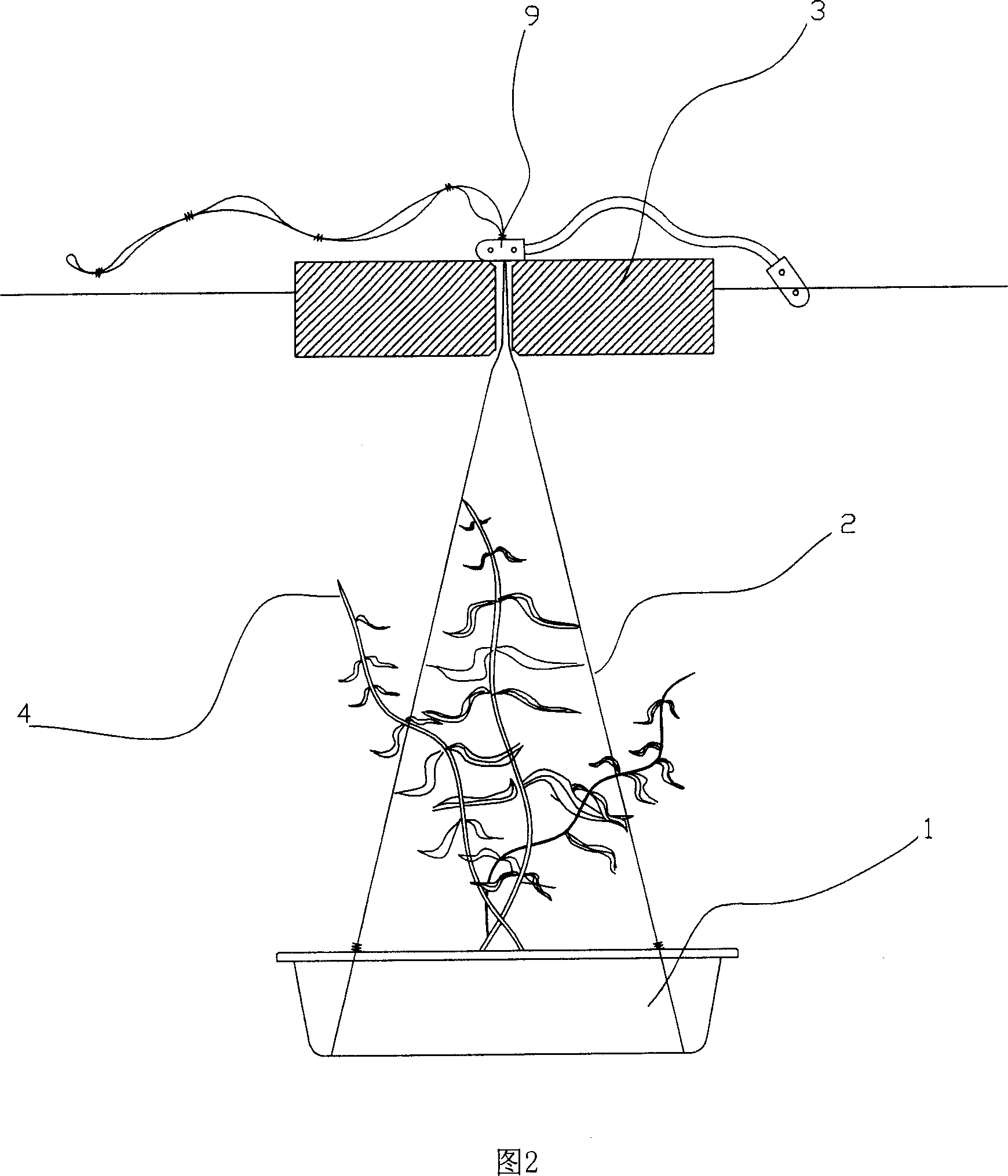 Method and device for treating water by semi-floating type carrier-planting submergent plant