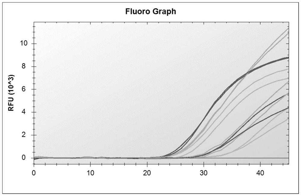 Multiple primers and kits for rapid detection of influenza A, influenza B and novel coronavirus