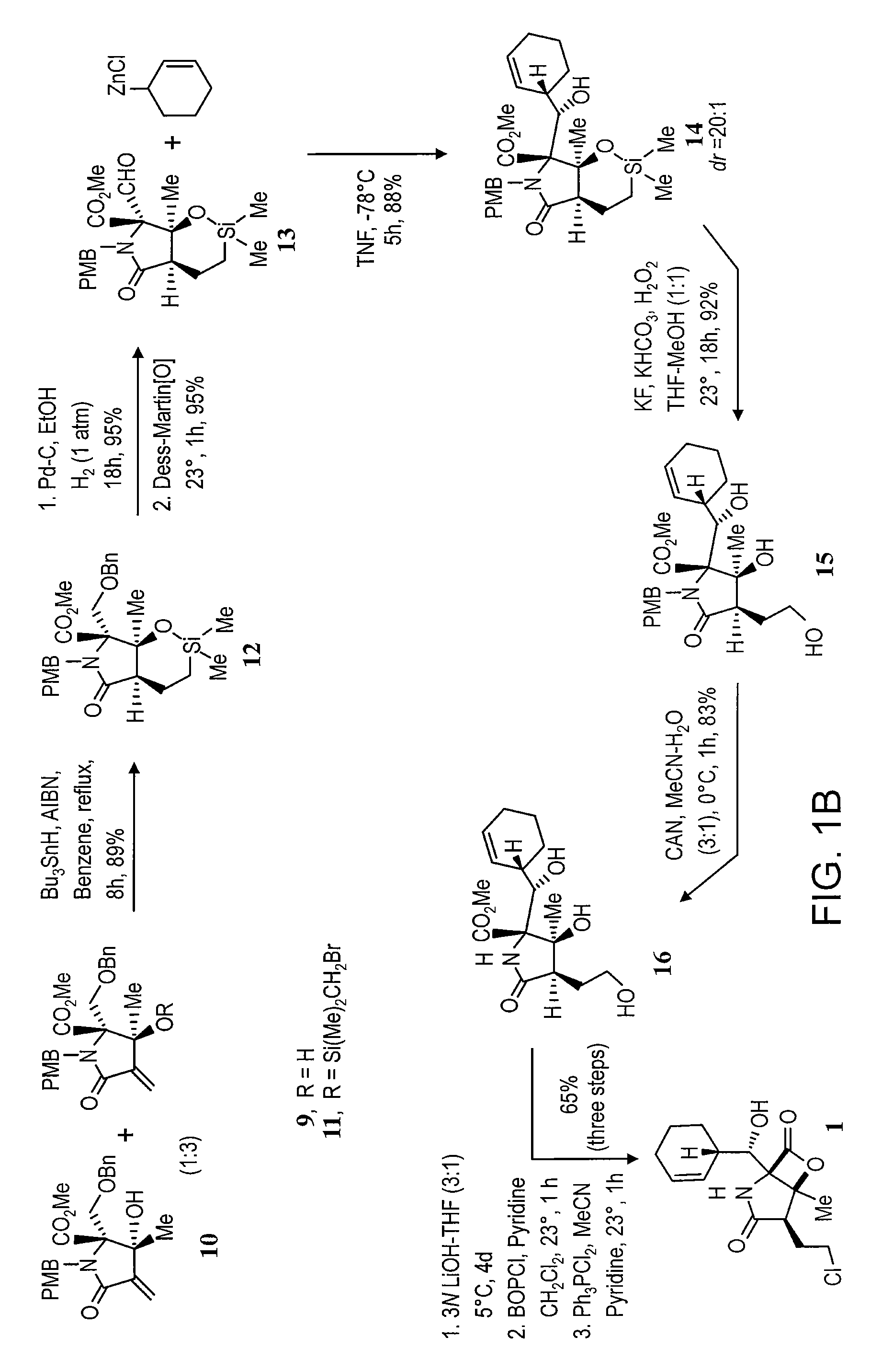 Analogs of Salinosporamide A