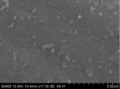 Method for preparing platinum and nitrogen codoped active carbon supported titanium dioxide photocatalyst