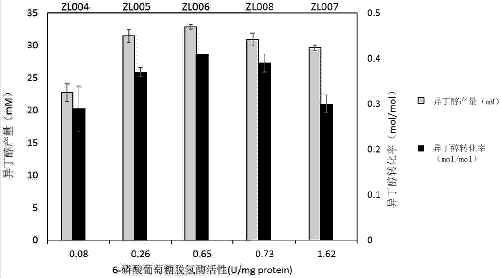 Escherichia coli for producing isobutanol and ethanol and preparation method of escherichia coli