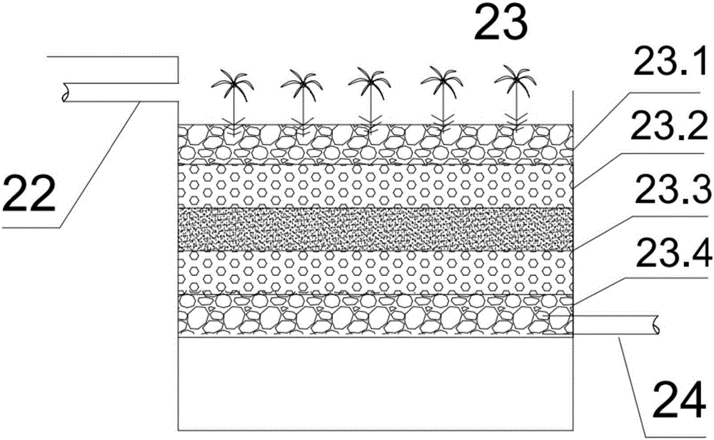 Cyperus alternifolius biological carbon preparation method based on artificial wetland system and application of method