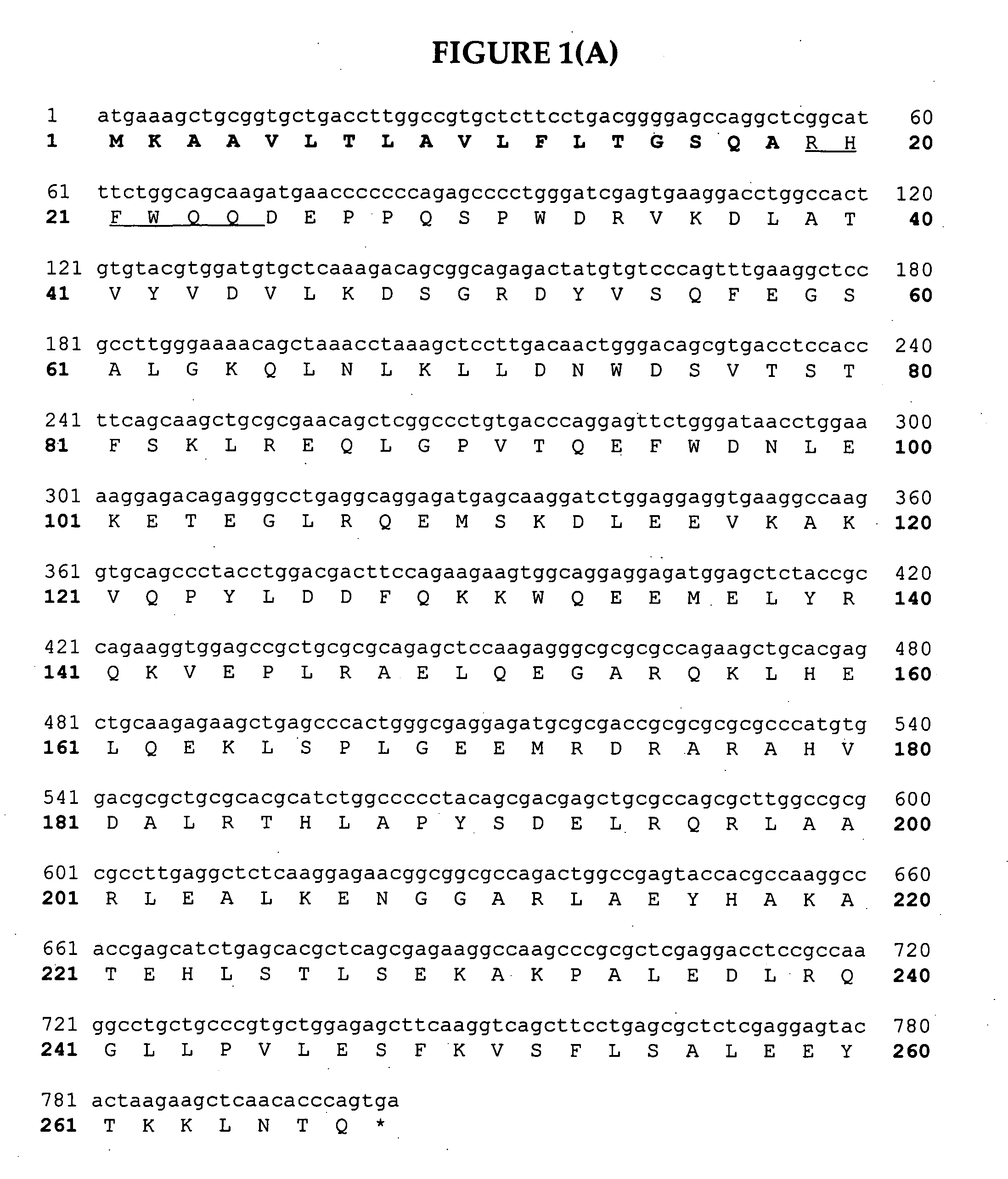 Methods for the production of apolipoproteins in transgenic plants