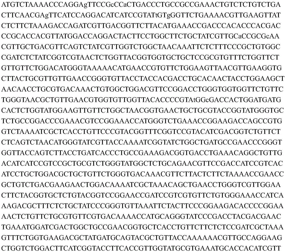 A kind of biological method produces ferulic acid engineering strain and its construction method