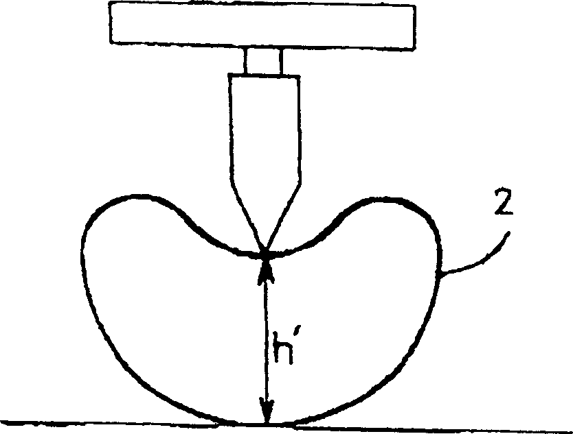 Picture fixation device and circulation film for picture fixation