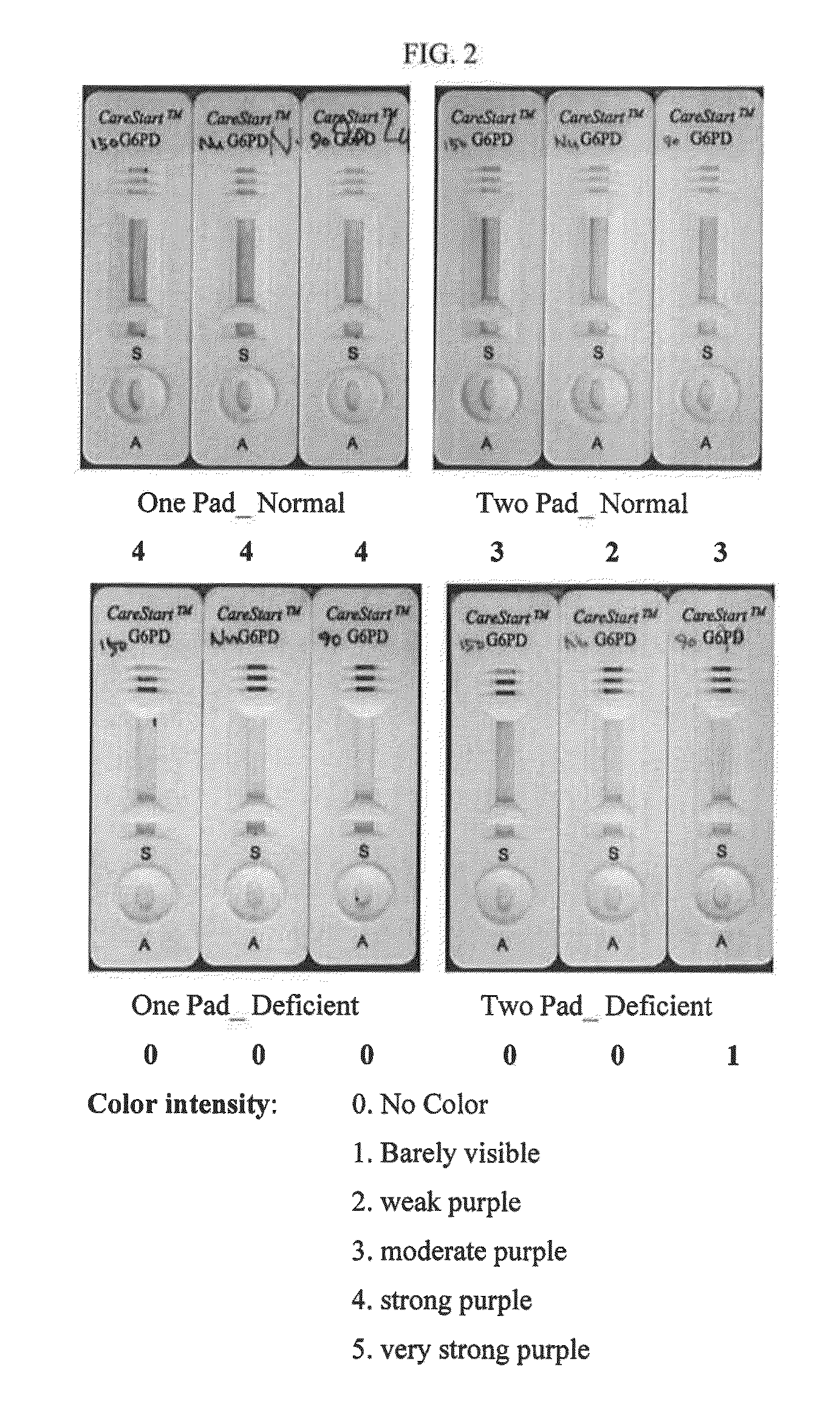 Single-pad strip for an improved lateral flow assay and a test device using the same