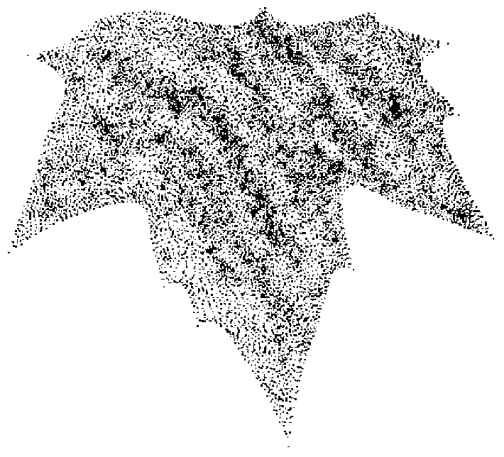 Tree leaf modeling method based on point cloud data