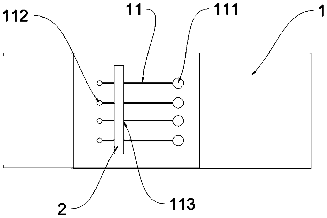 Micro-scale magnetic concentration detection device and method for immunoassay