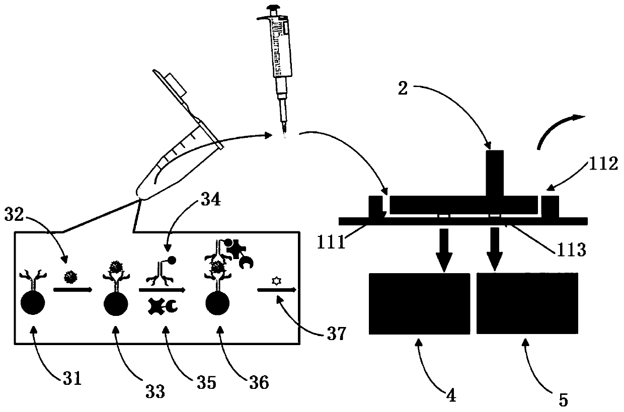 Micro-scale magnetic concentration detection device and method for immunoassay