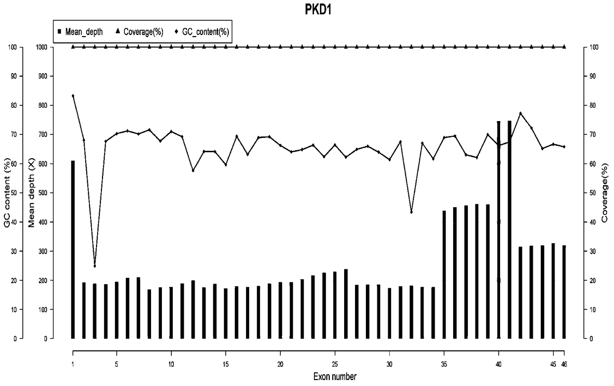 Amplification primer, kit and detection method for detecting pkd1 gene mutation