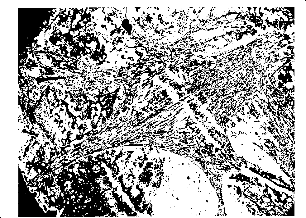 Cellular membrane chromatography for sifting analgesic traditional Chinese medicine active ingredient