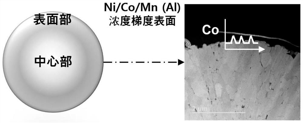 Positive electrode active material and lithium secondary battery comprising same