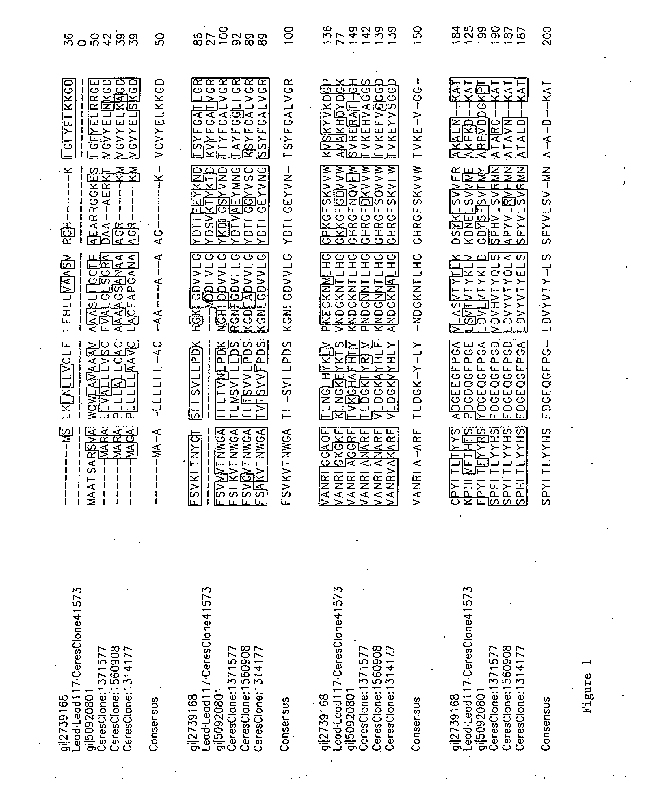 Modulating plant oil levels