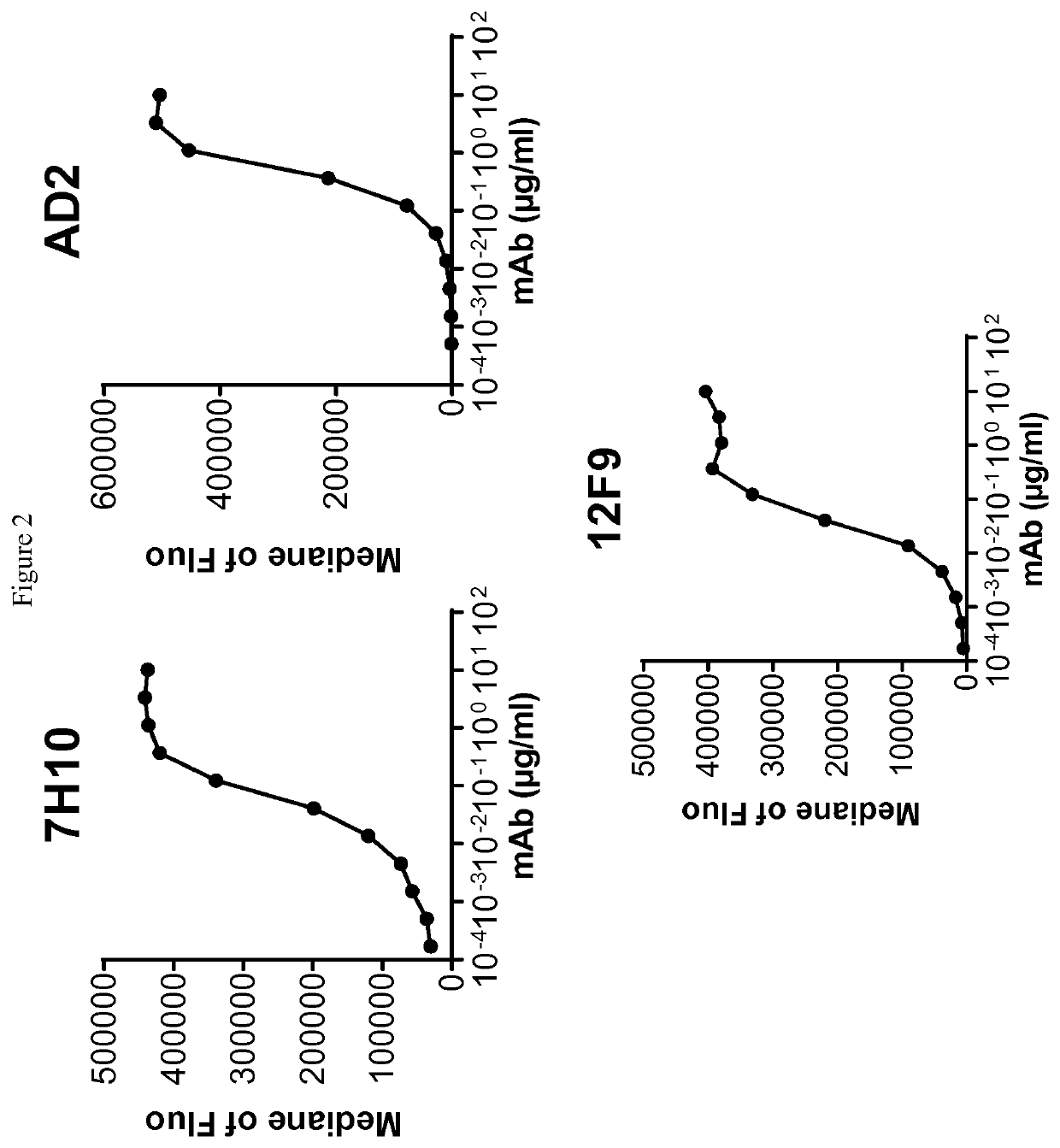 CD73 blocking agents