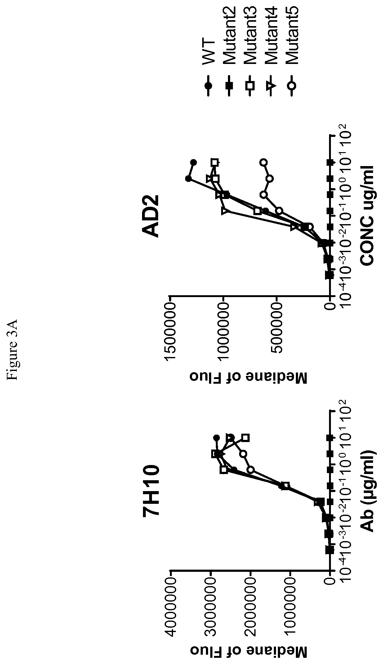 CD73 blocking agents