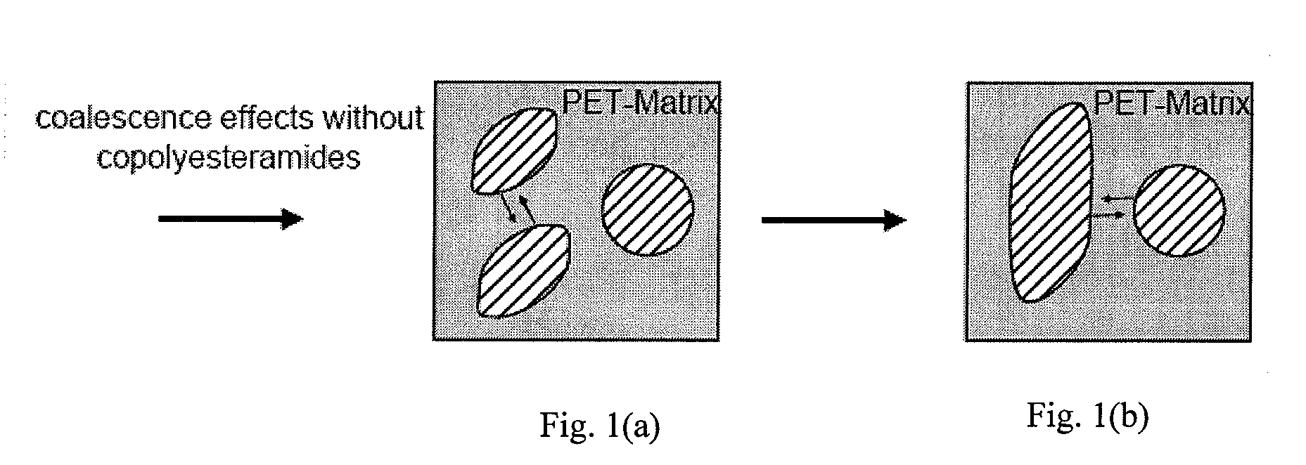 Compatibilized polyester-polyamide with high modulus, and good abrasion and fibrillation resistance and fabric produced thereof