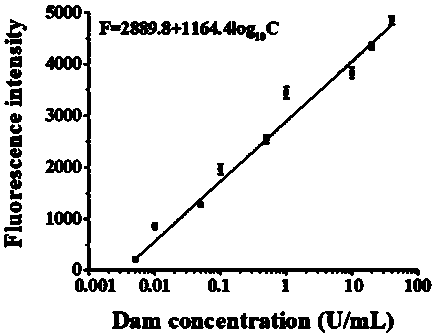 Fluorescent biosensor for detecting activity of DNA transmethylase and preparation method of fluorescent biosensor