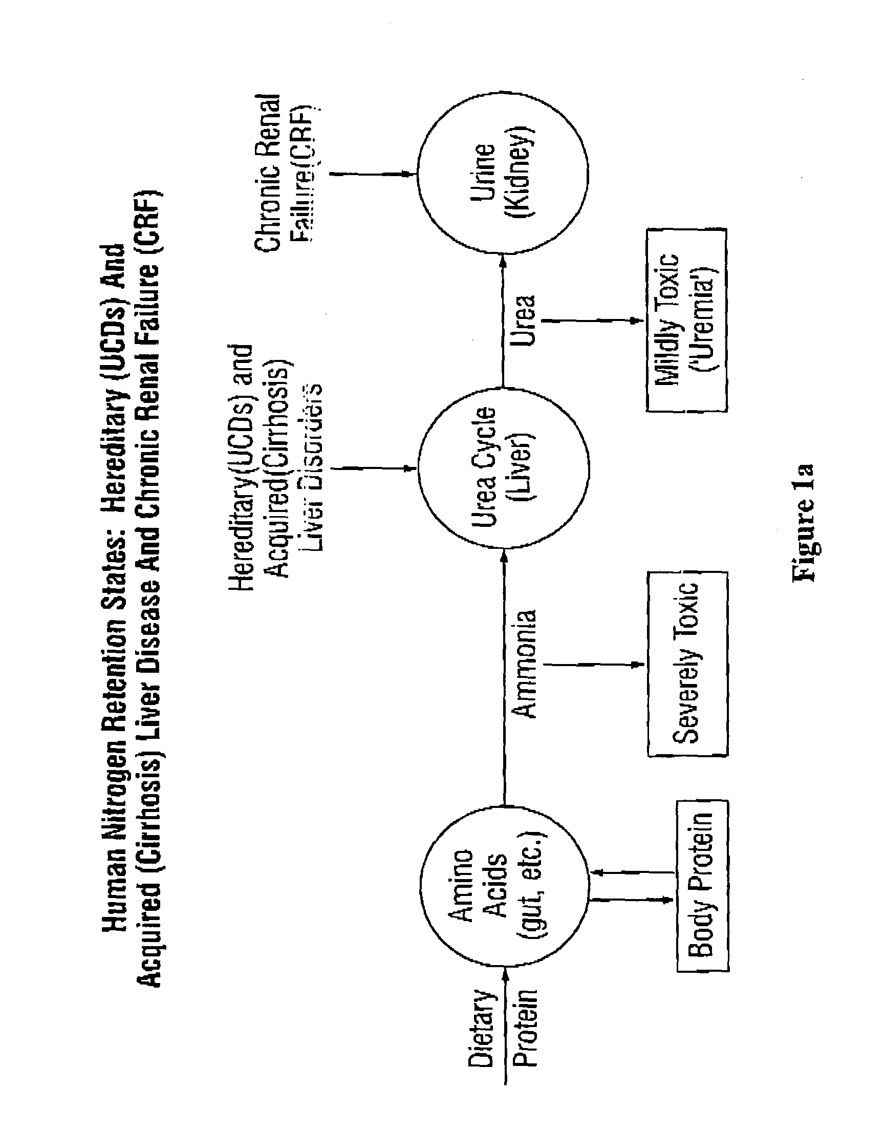 Dosing and monitoring patients on nitrogen-scavenging drugs