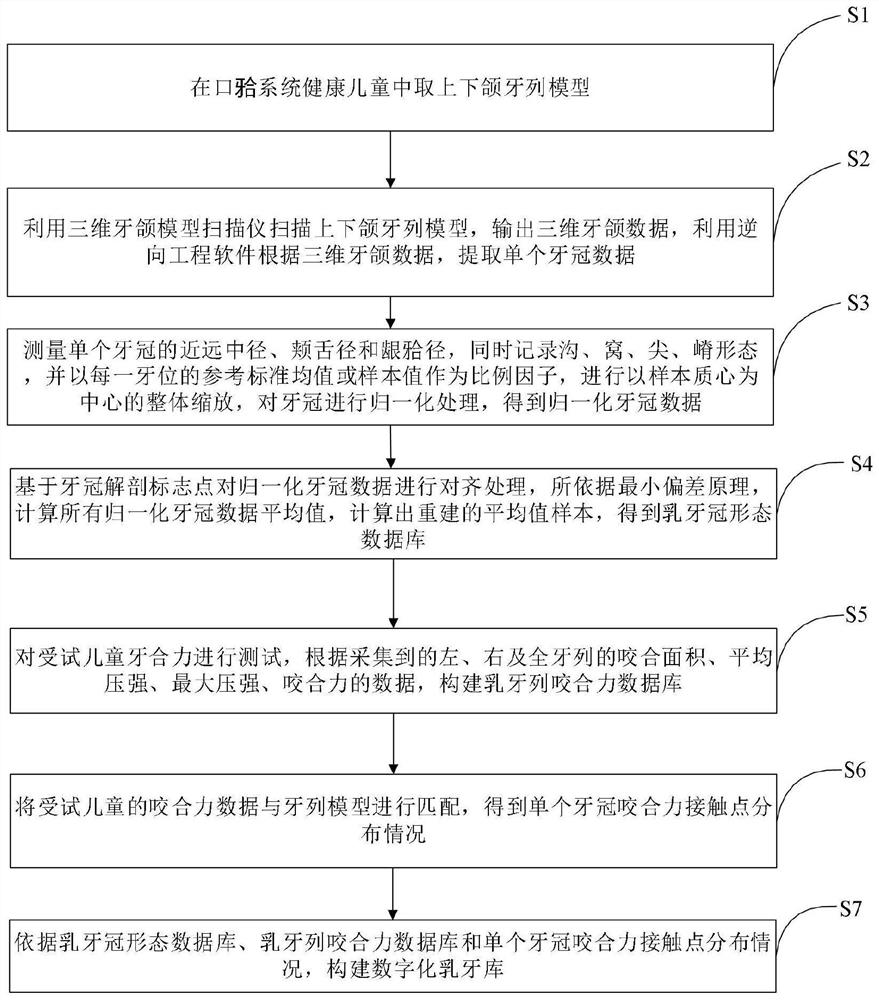 Method and system for constructing deciduous tooth crown physiological database