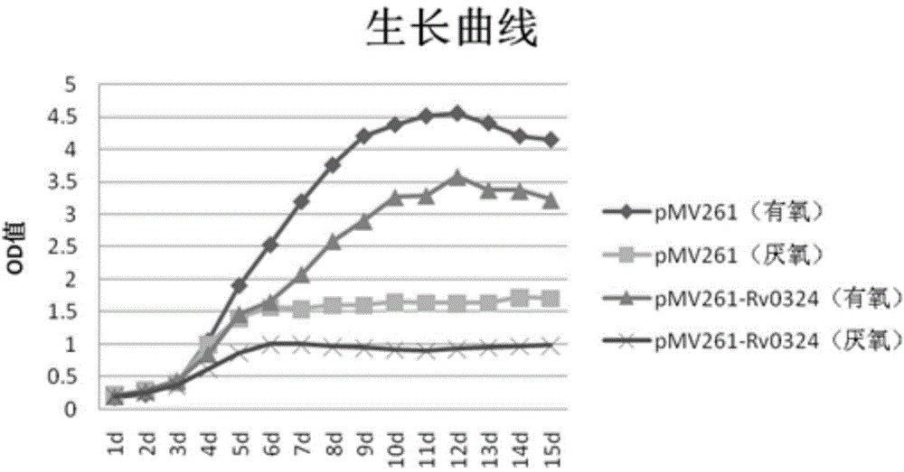 Application of mycobacterium tuberculosis Rv0324 gene in preparation of preparation for treating mycobacterium tuberculosis latent infection