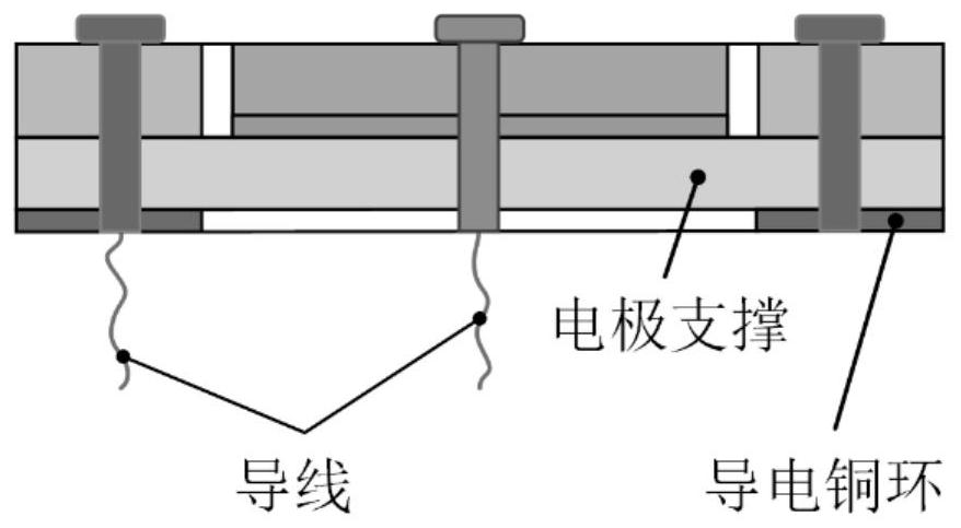 An electrode structure for in situ observation of lithium ion diffusion process