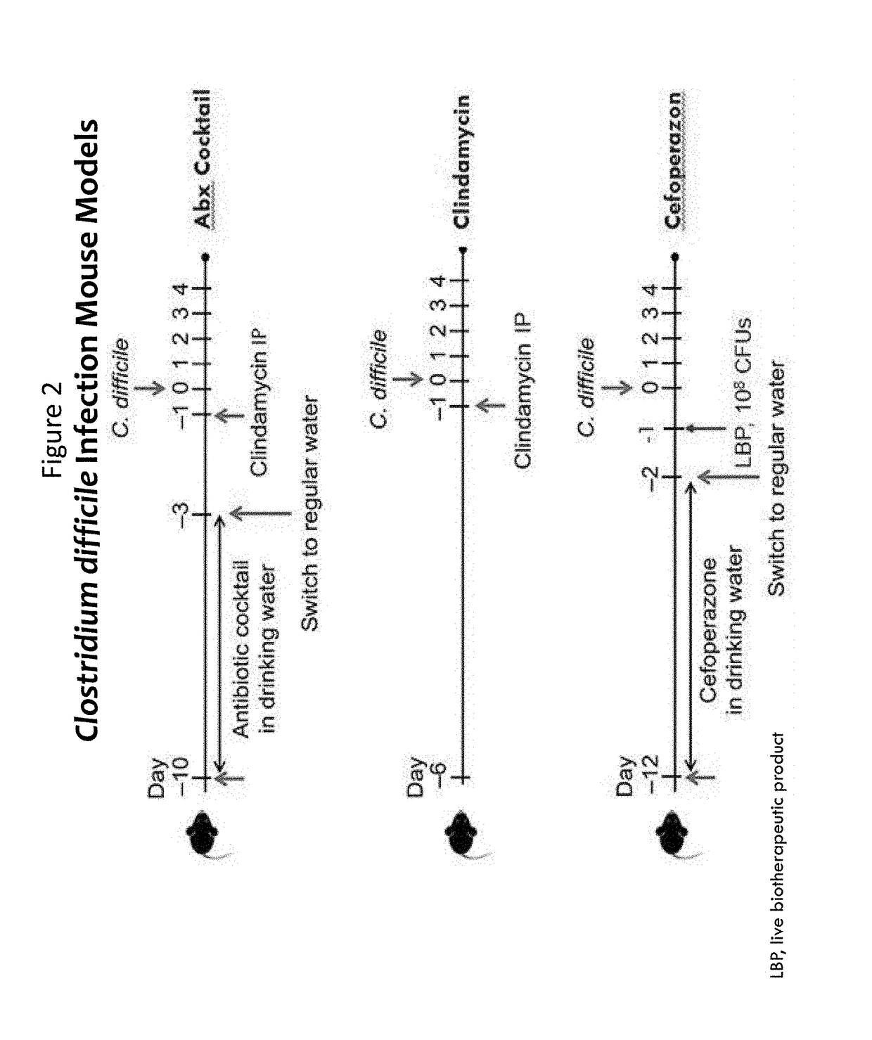 Treatment of clostridium difficile infection