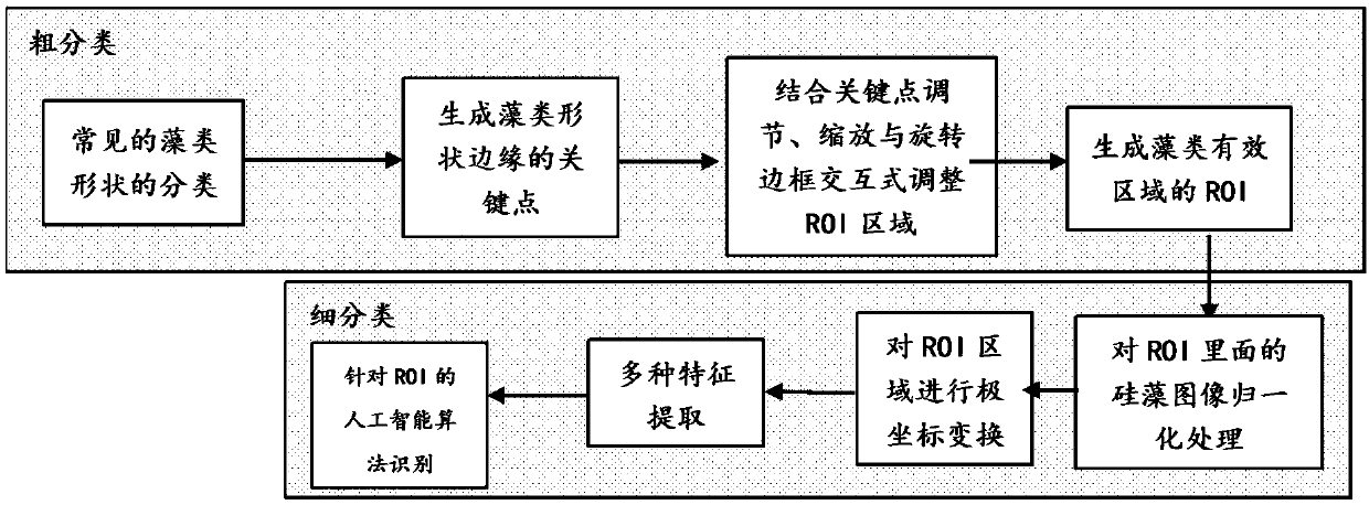 Method and device for recognizing diatom types of extracted diatom regions