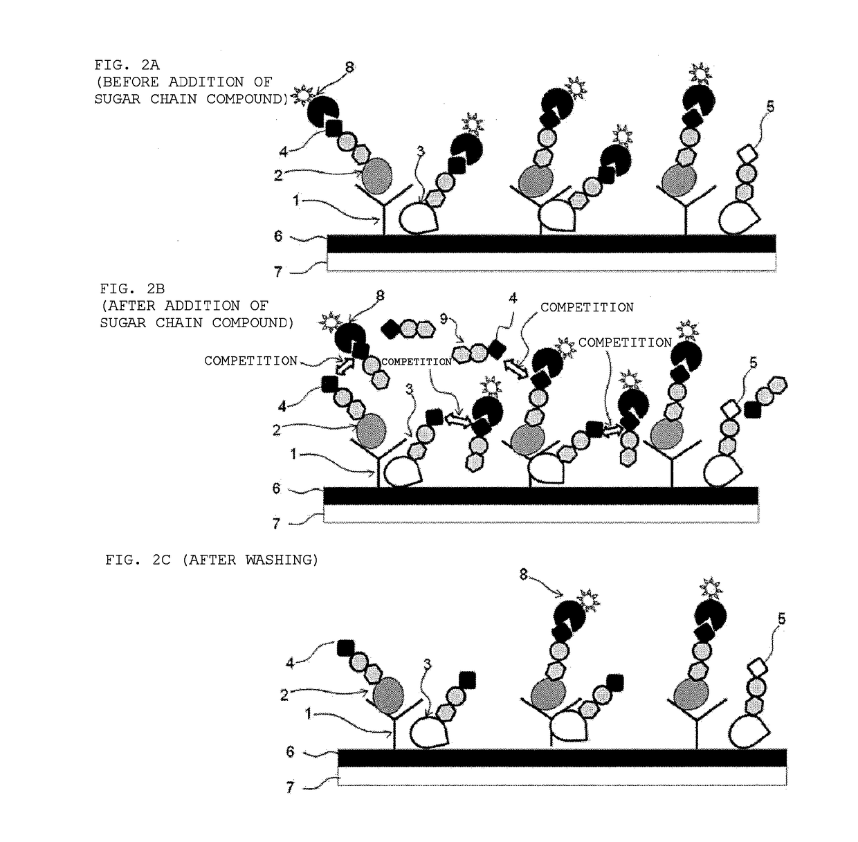 Immunoassay method less affected by impurities