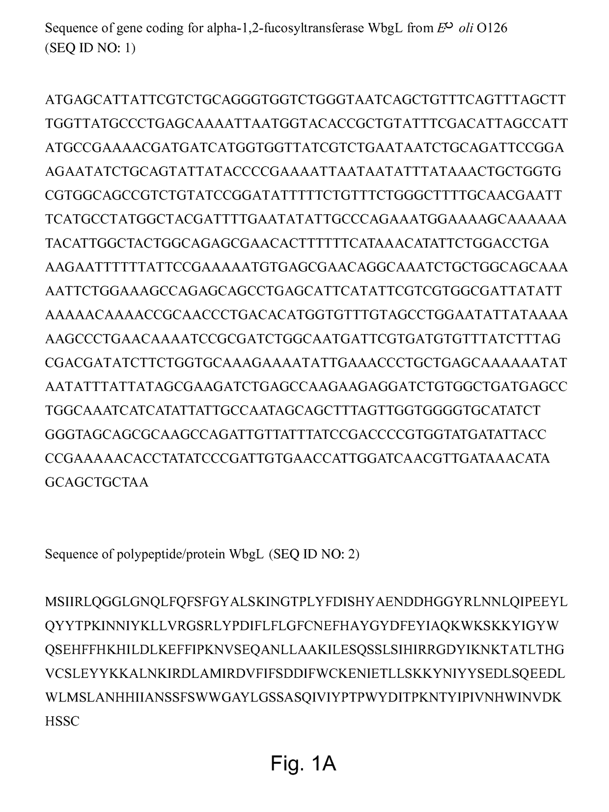 Fucosyltransferases and their applications