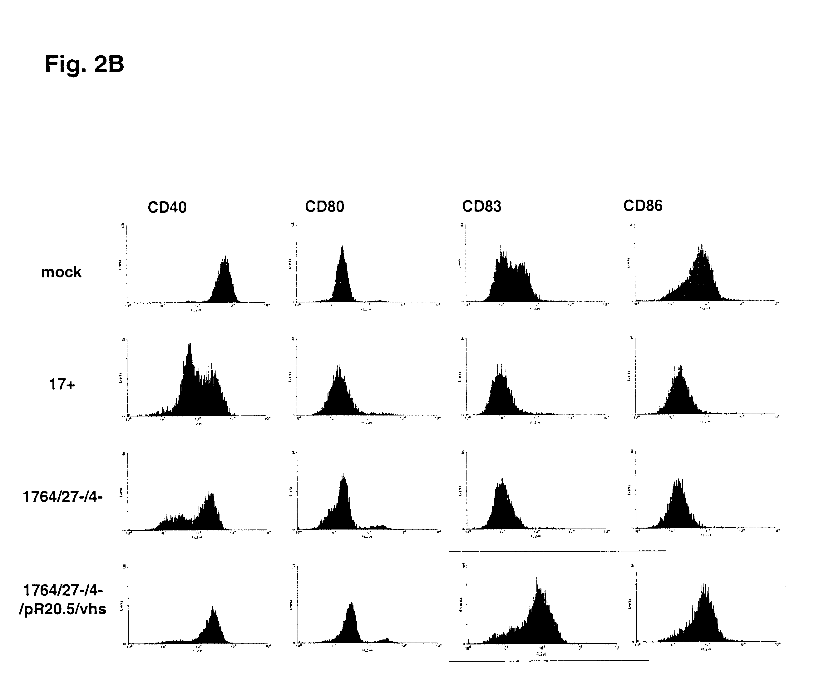 Herpes viruses for immune modulation