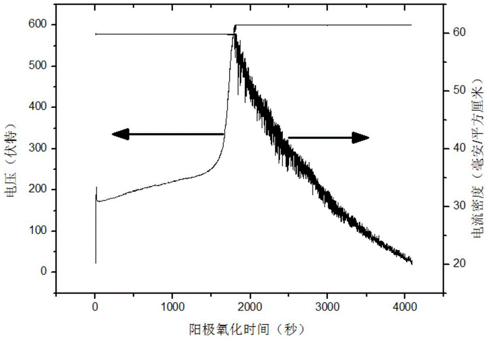 Method for producing micro-surface three-dimensional interconnected-nanopore anodic aluminum oxide template